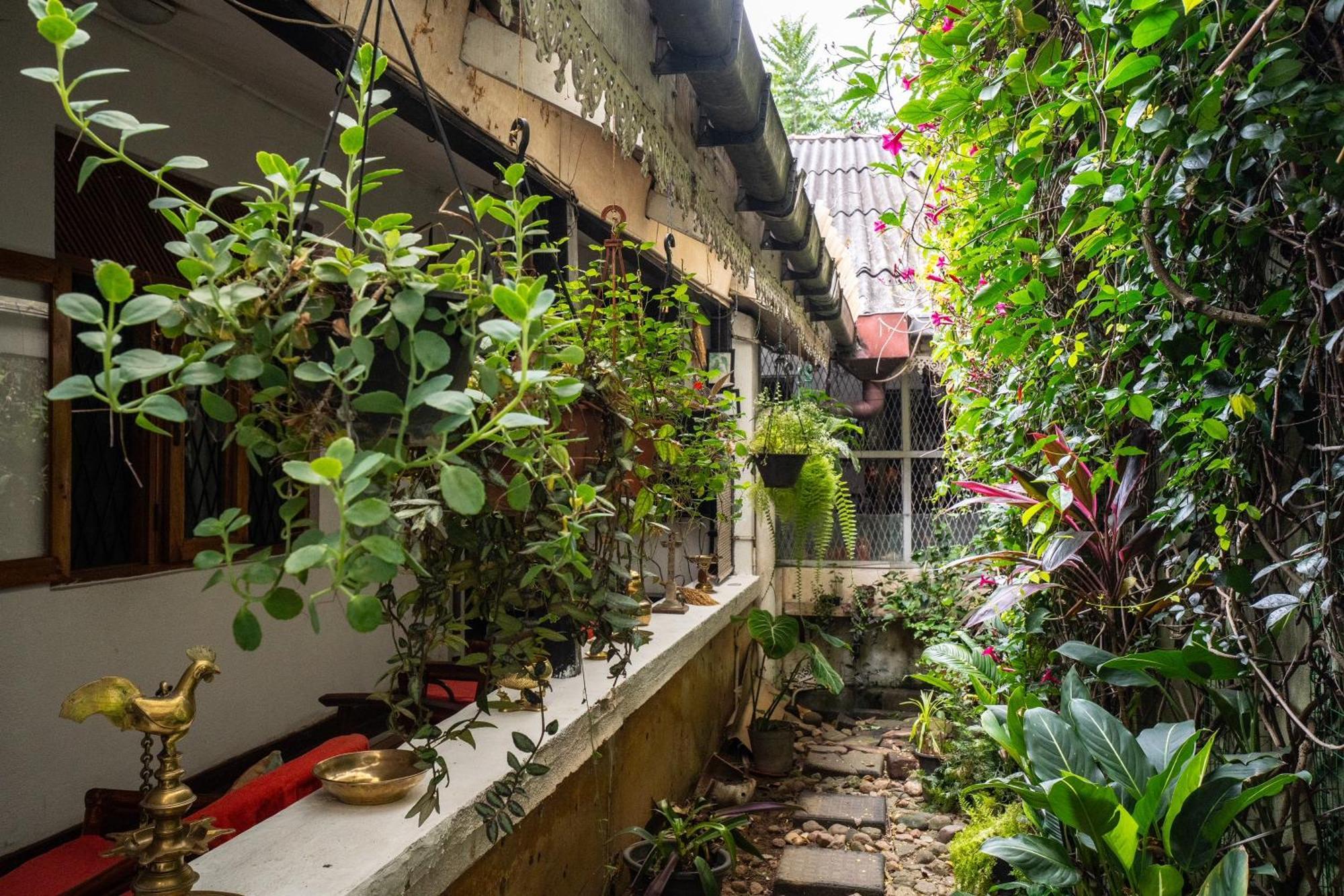 Kandy Inn Madugalle'S Family Guest House Екстериор снимка
