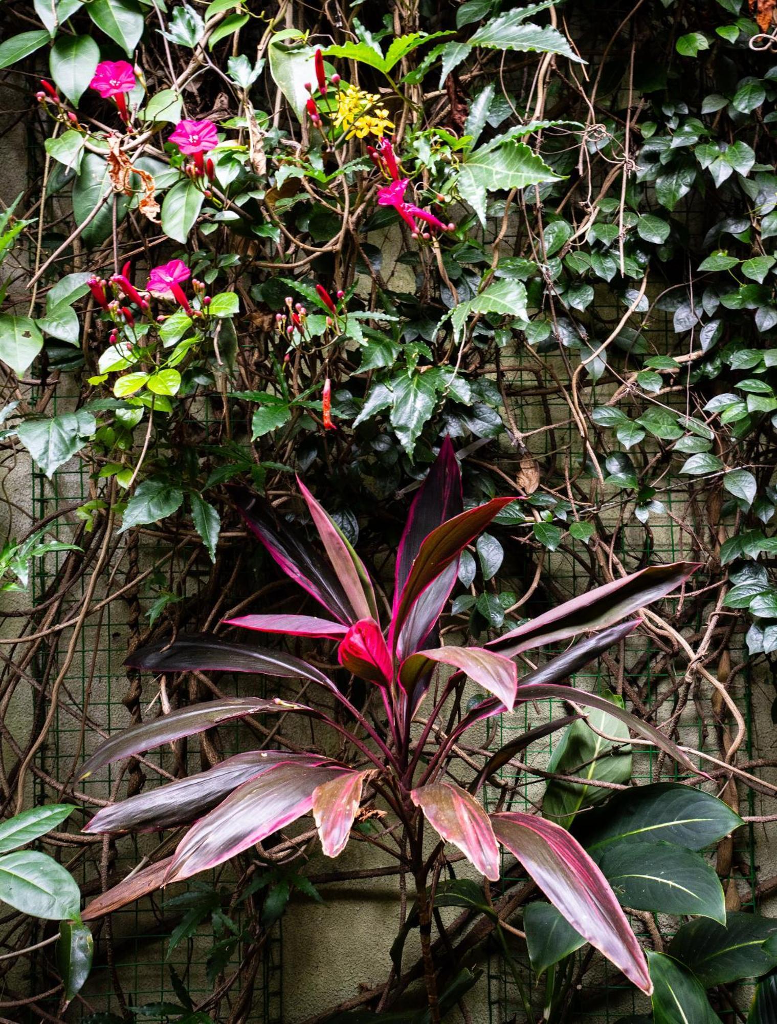 Kandy Inn Madugalle'S Family Guest House Екстериор снимка